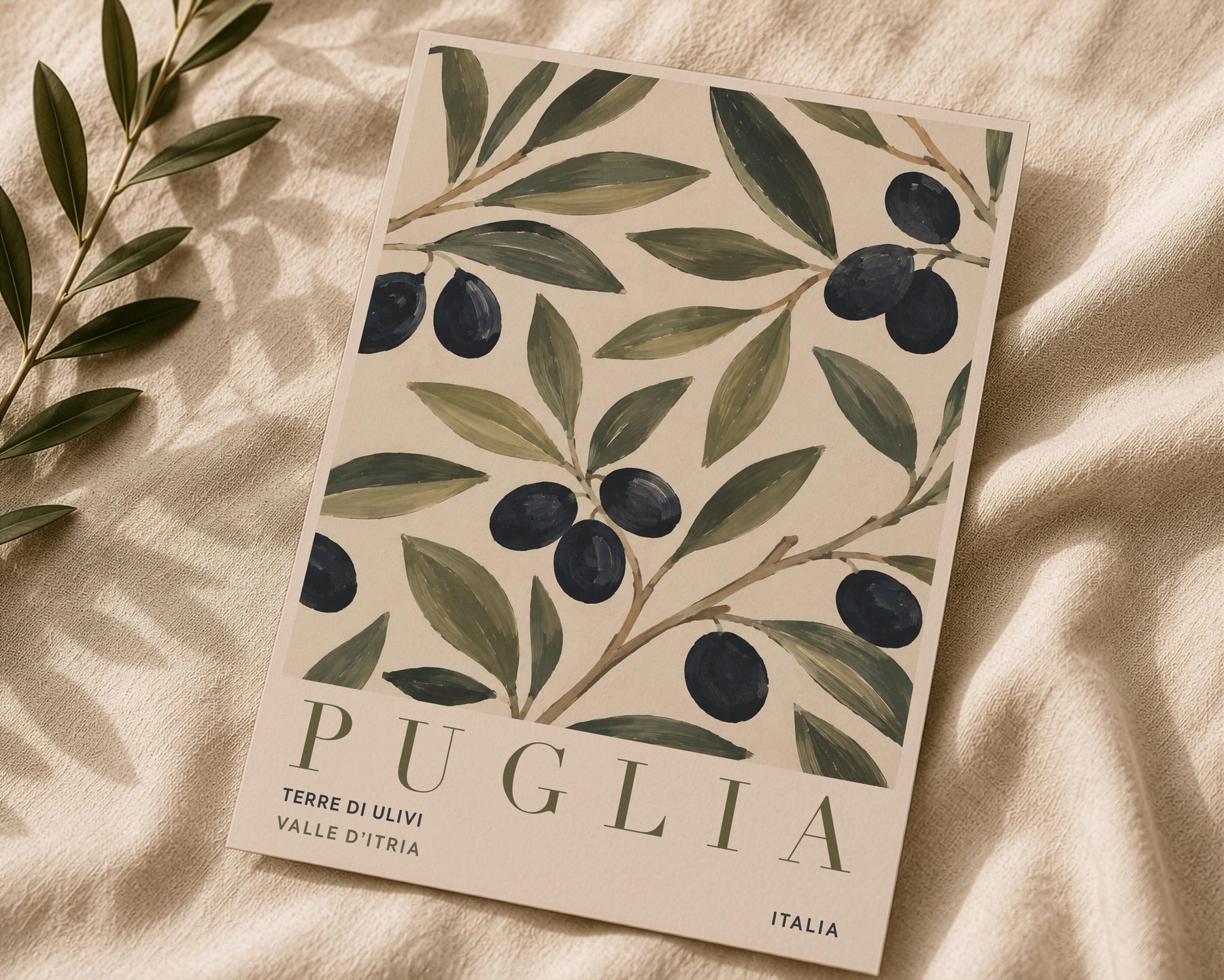 Puglia Olive Branch Print | Italian Botanical Travel Poster | Framed or Unframed